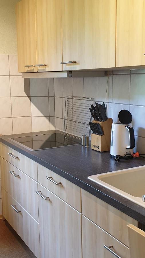 Ferienwohnung An Der Begerburg Drezno Zewnętrze zdjęcie